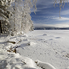 Footsteps on Loch Garten in the snow